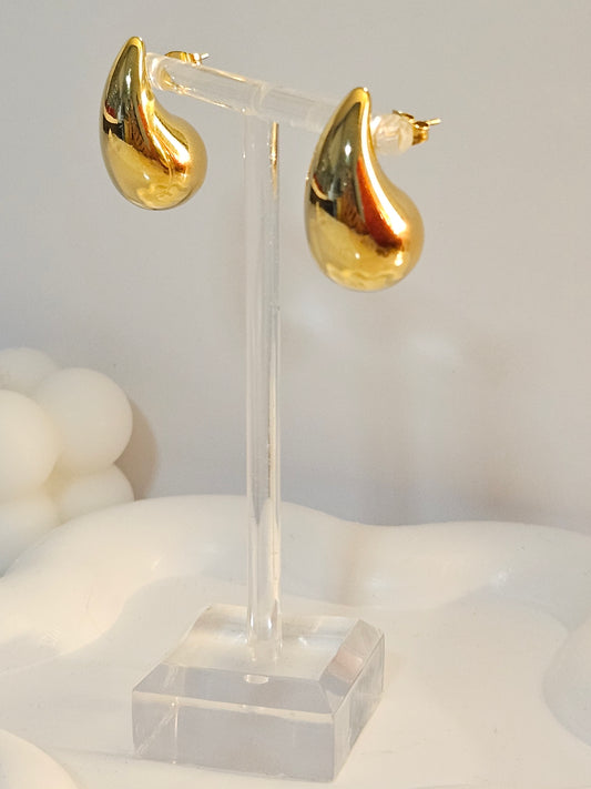 Alo Earrings