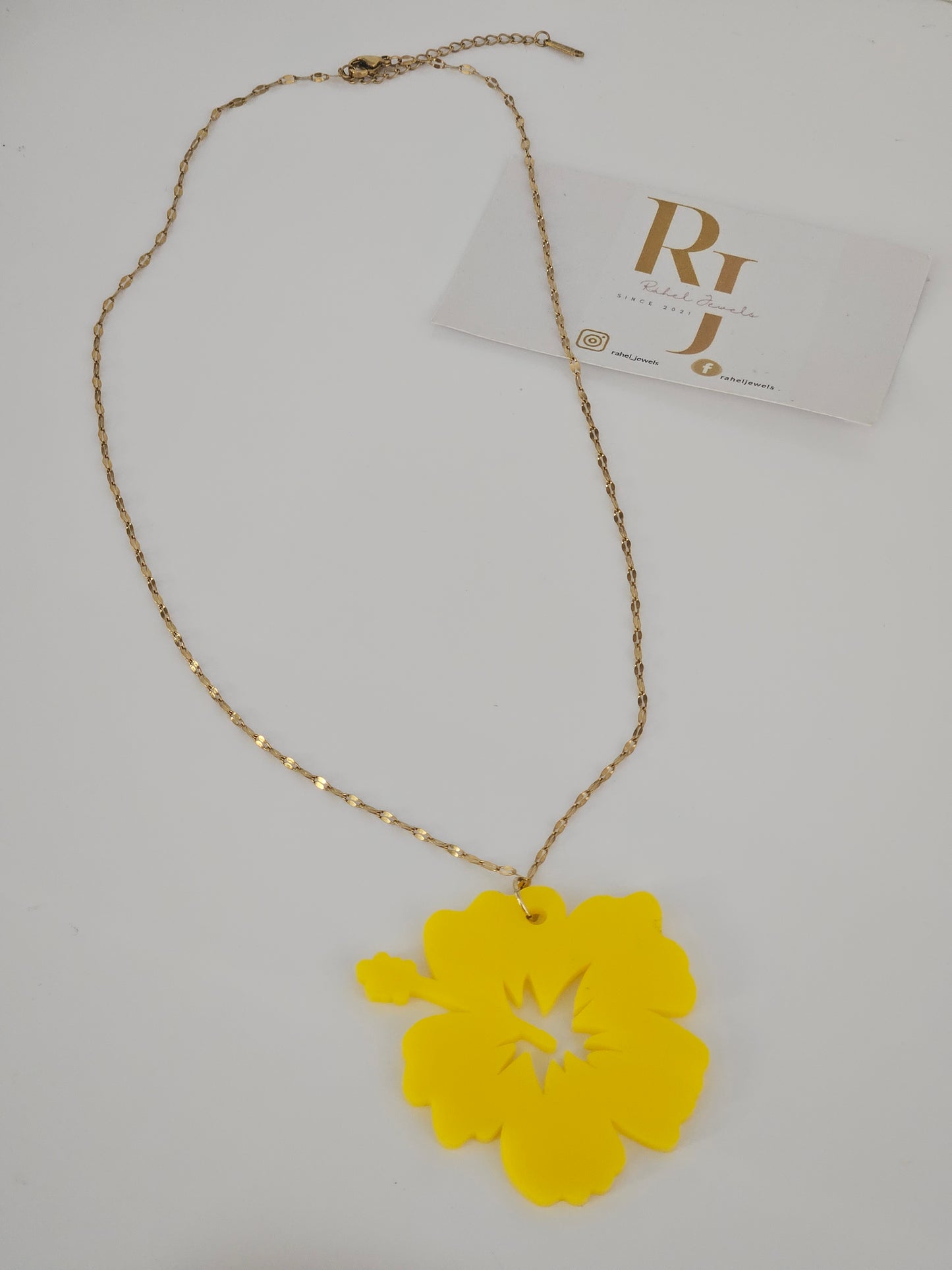 PR Flor de Maga Grande